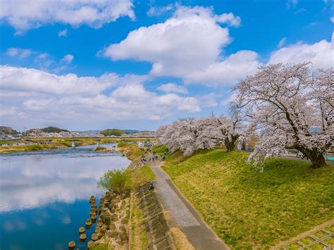 竈房|【日本東北賞櫻之旅】宮城、岩手必去景點！鹽竈神社、浦霞清酒。